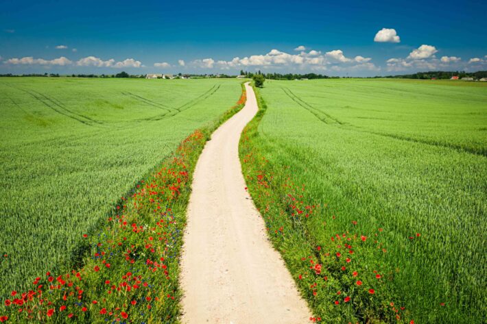 Business Innovation: Overcoming the Dominant Logic