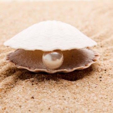 From perils to pearls: personal and organizational resilience