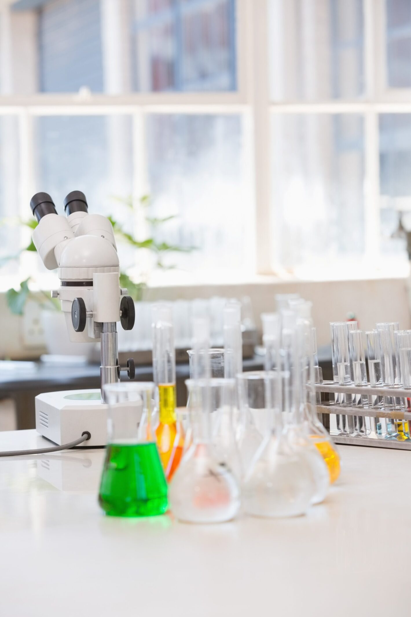 Innovation Journey to Design the Business Concept for a Future-Ready Drug Substance Development Facility