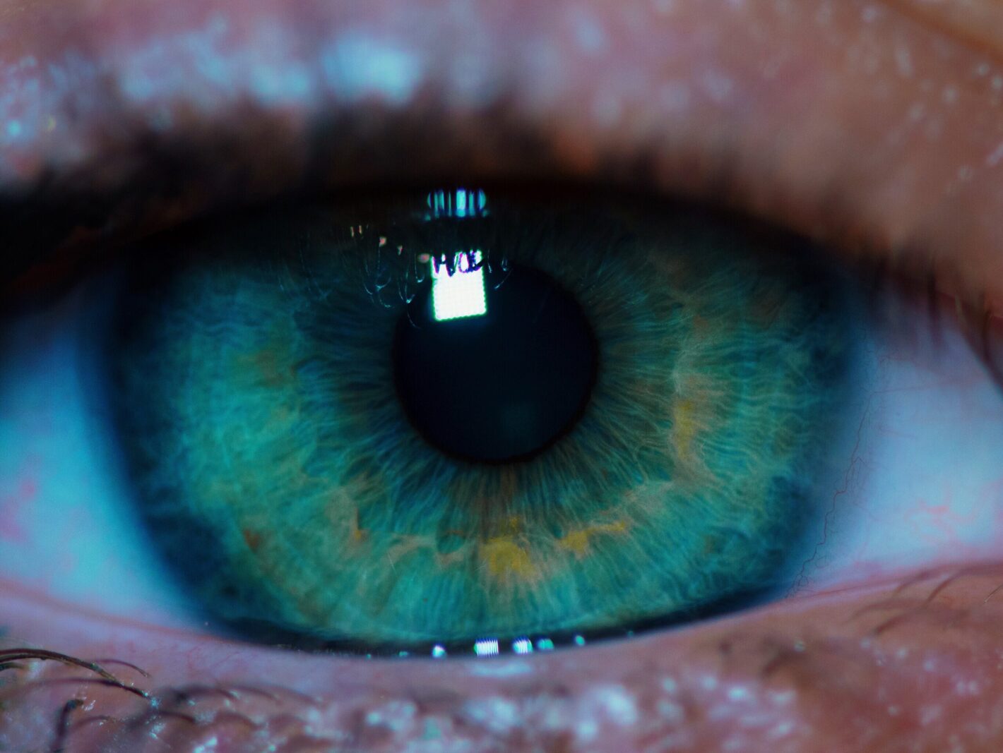 From Fragmentation to Focus: Uniting a Scattered Complex Multi-Entity Business Under One Vision