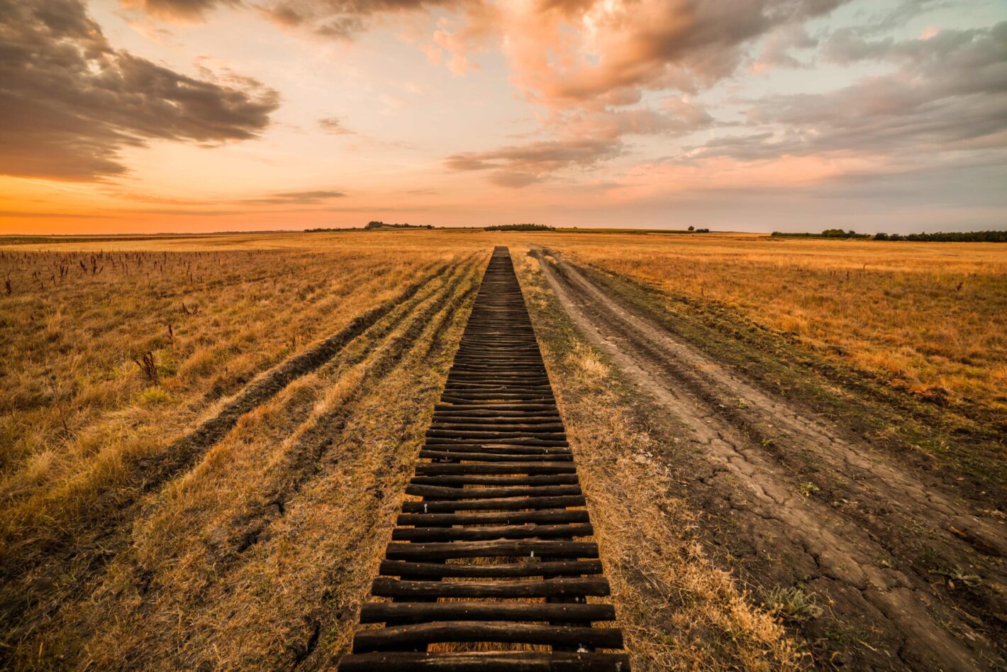 Building Tailored End User Training Journeys Based on Business Processes